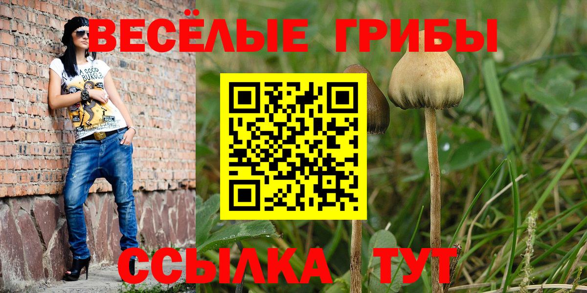Галлюциногенные грибы прущие грибы Новый Уренгой