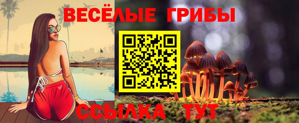 Галлюциногенные грибы Cubensis  Вход с VPN  Новый Уренгой 